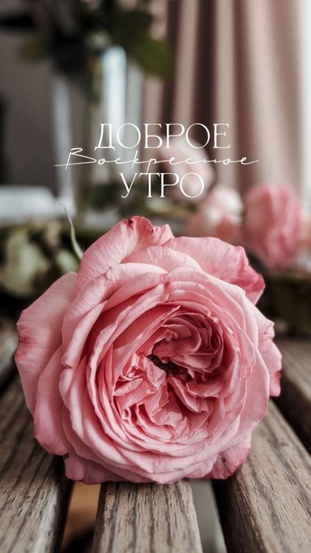 Официальный сайт администрации