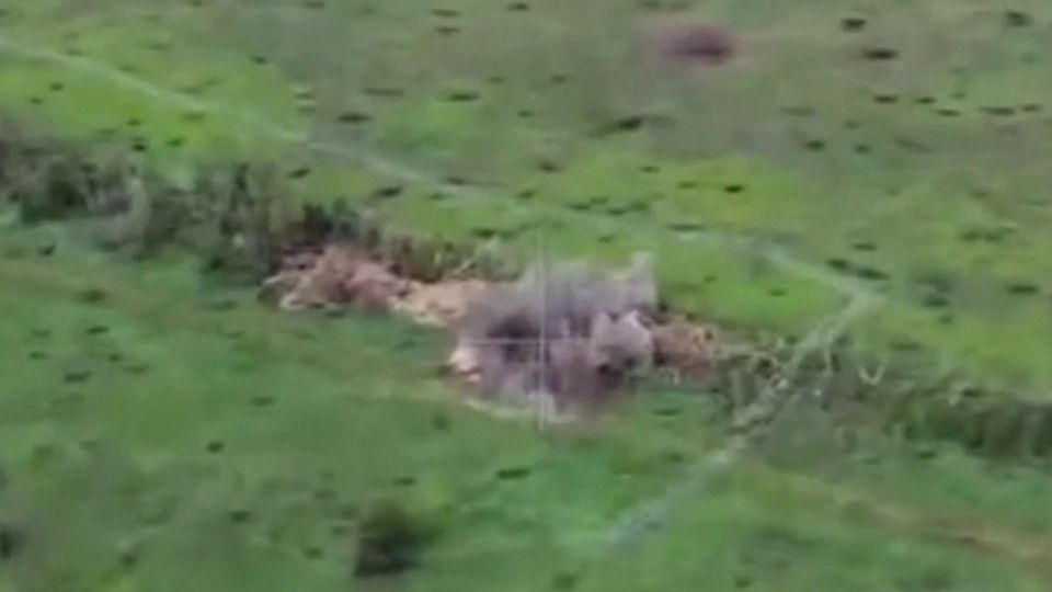 Армия России освободила село Заря в ДНР