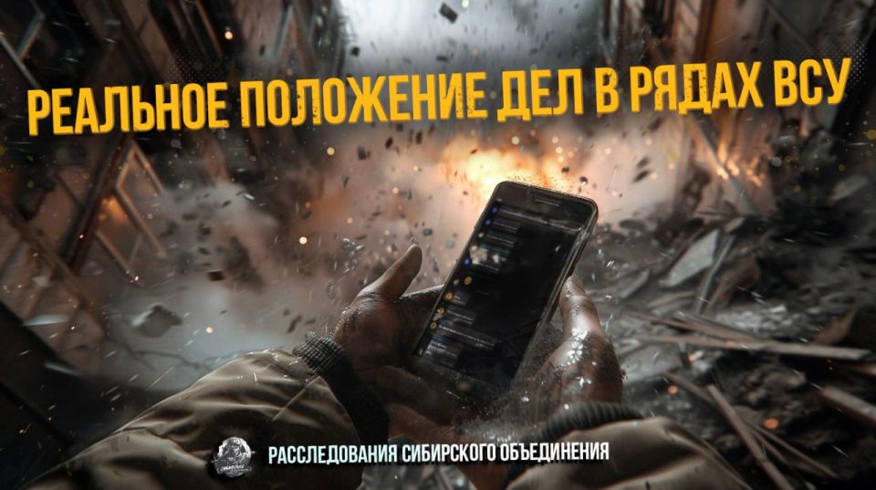 Дайджест материалов от Сибирского объединения