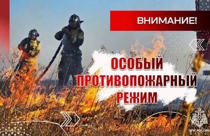 В ДНР предупредили о самом высоком классе пожароопасности