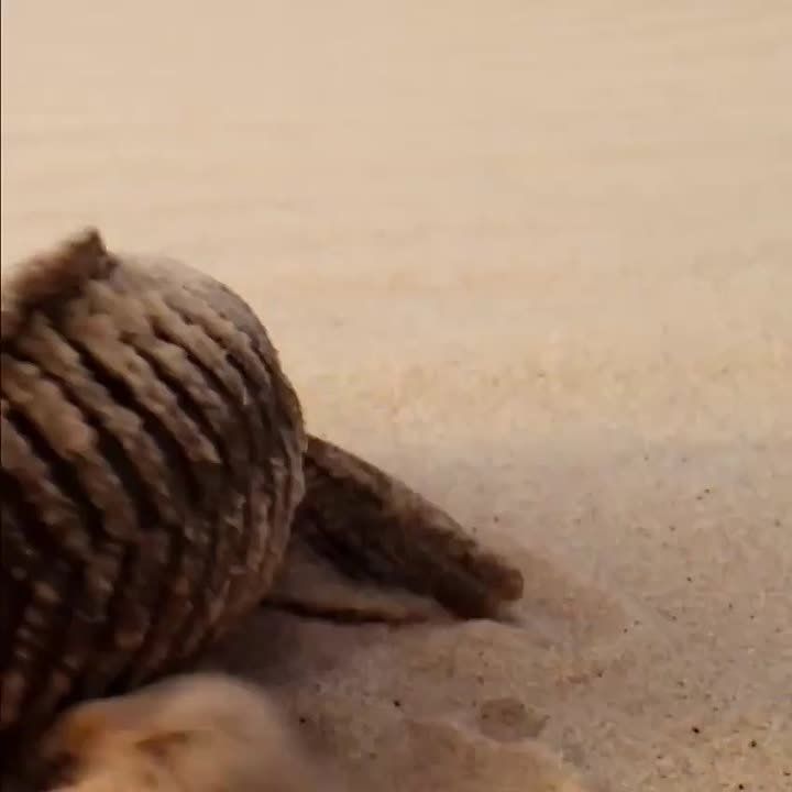 С добрым утром, Мариуполь!