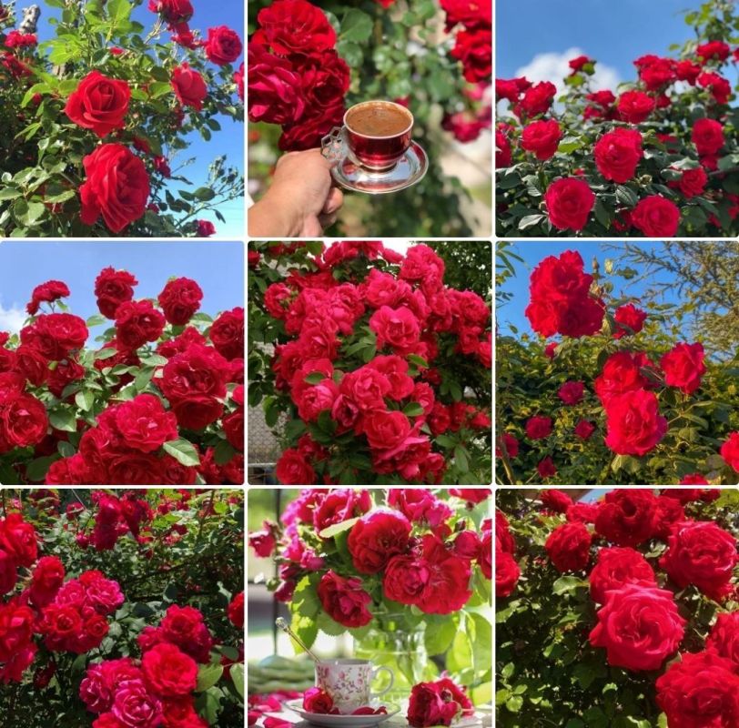 Хорошего дня!