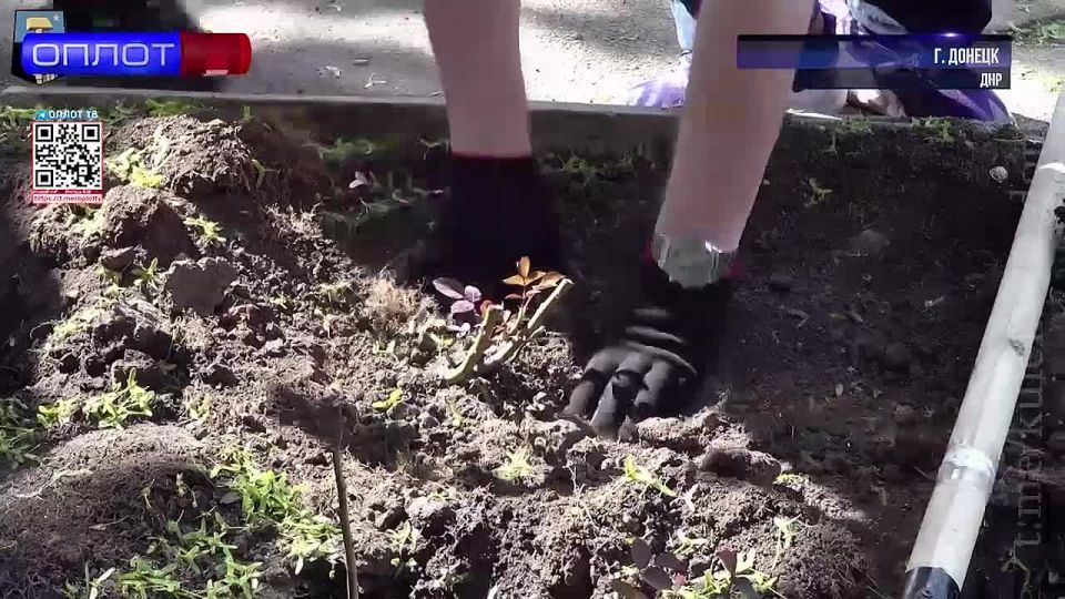 12 июня – последний день голосования за общественные пространства, которые благоустроят в нашей Республике в 2026 году