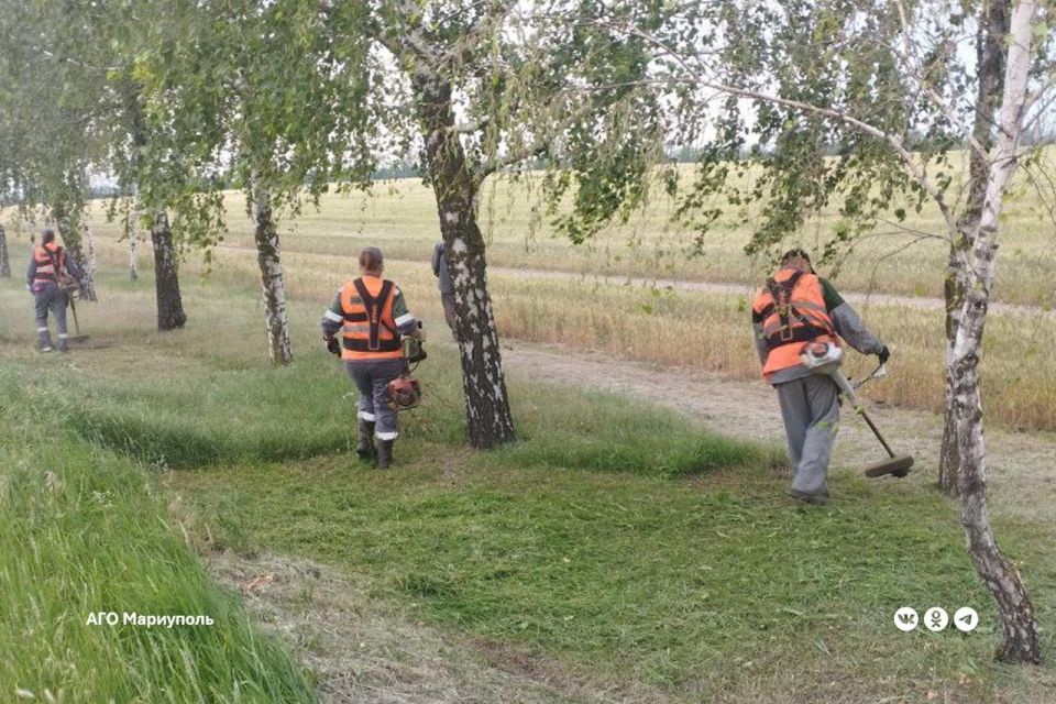 «Зеленстрой» благоустраивает один из главных автомобильных въездов в Мариуполь