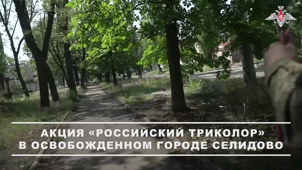 Минобороны России: Военнослужащие группировки войск «Центр» провели акцию «Российский триколор» в честь Дня России в освобожденном городе Селидово в Донецкой Народной Республики