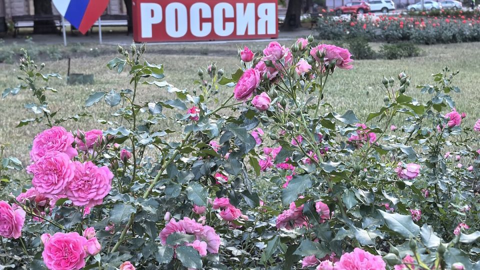 &quot;Мой дом и страна, в которой я хочу, чтобы жили мои дети&quot;: как отметили День России жители Донецка, где наконец царит тишина