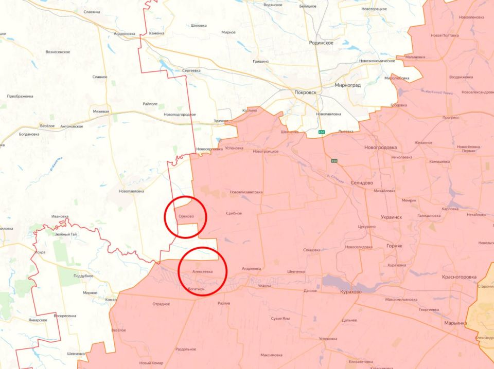 Минобороны России заявило об освобождении населённых пунктов Орехово (Петровского) и Алексеевка на Южно-Донецком направлении