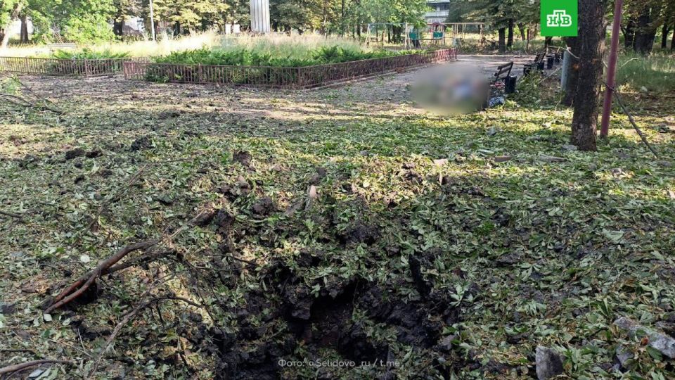 Украинская артиллерия убила двух женщин в парке города Селидово в ДНР