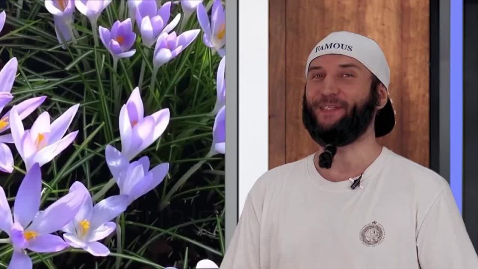 Прогноз погоды на 14.06.2025