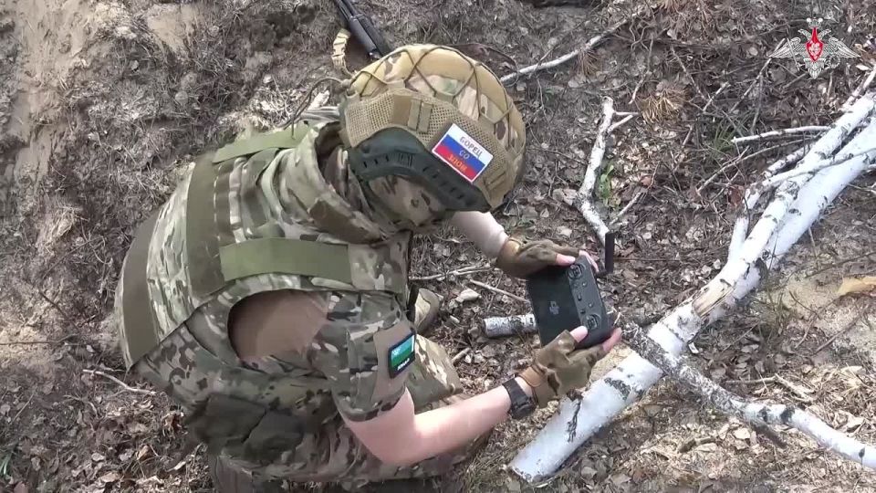 Минобороны России: Дроноводы продолжают громить противника на разных направлениях