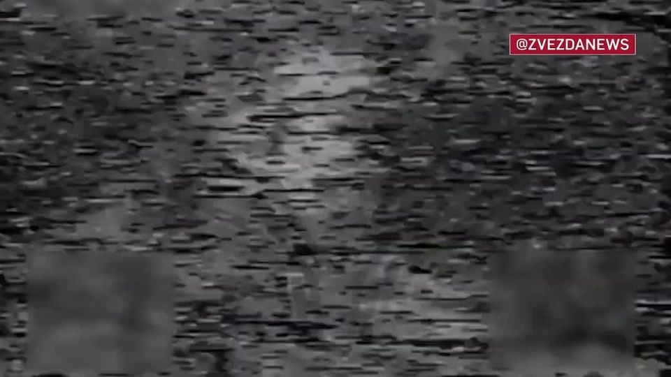 Два "Леопарда" проиграли в схватке с нашими "птичками" в ДНР