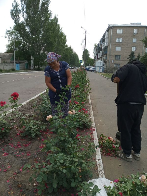 Силами коммунальных предприятий были проделаны работы по наведению чистоты и порядка на территории г. Моспино: