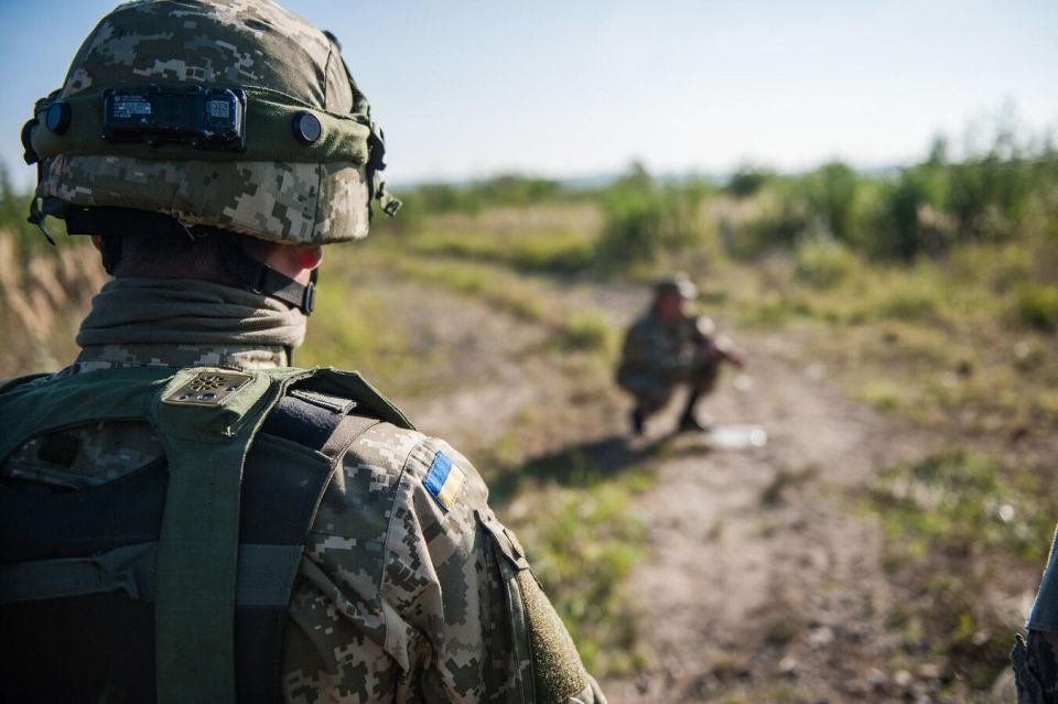 Украинская молодежь не хочет умирать за режим, заявил сенатор от ДНР