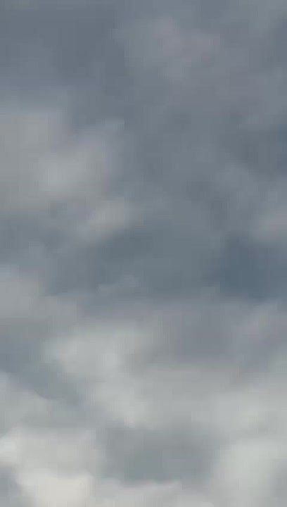 ������ �������: ������� ���������� ������������ ������� �� ����� ��������� ����� �������� �������������� ���������� ���� "������" �� ����� �������� �� ����-�������� �����������