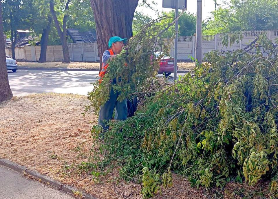 ���� ������: ��� ��� ����������� ������ ��� � ������� � ������������ ������