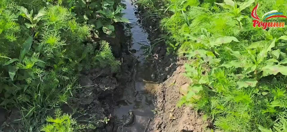 �������� ����� "������" ����������� ���� ������� ��������� �������, � ������ �������-��������������� ����������� ������ �������� �������, �������� � ���������������� ������������� � �������