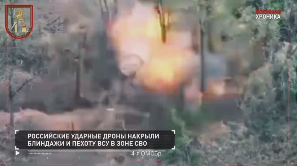 ��������� ��������: ������� �������. 20 ���� - ������ ������������ �� ����