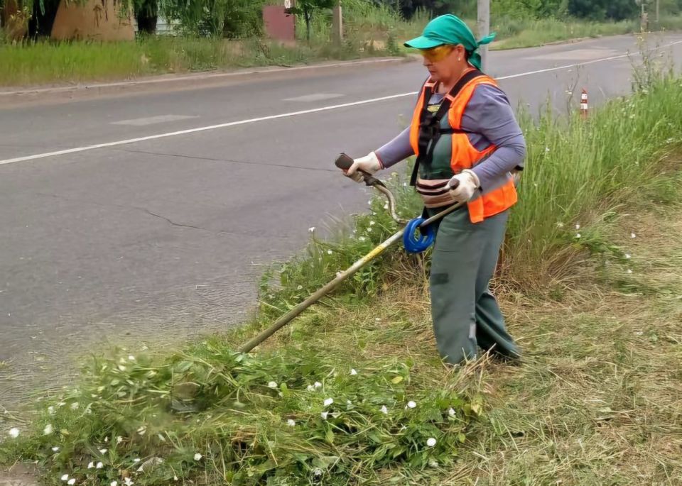 ���� ������: � ������������ ������, ���������� ����������� ����������� ������������ ���� ������������ ������ �� ��������������� ������