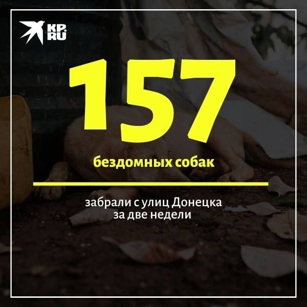 ������� ���������� ������� ��������� ��������, ���� �� ������� �� ������ �����