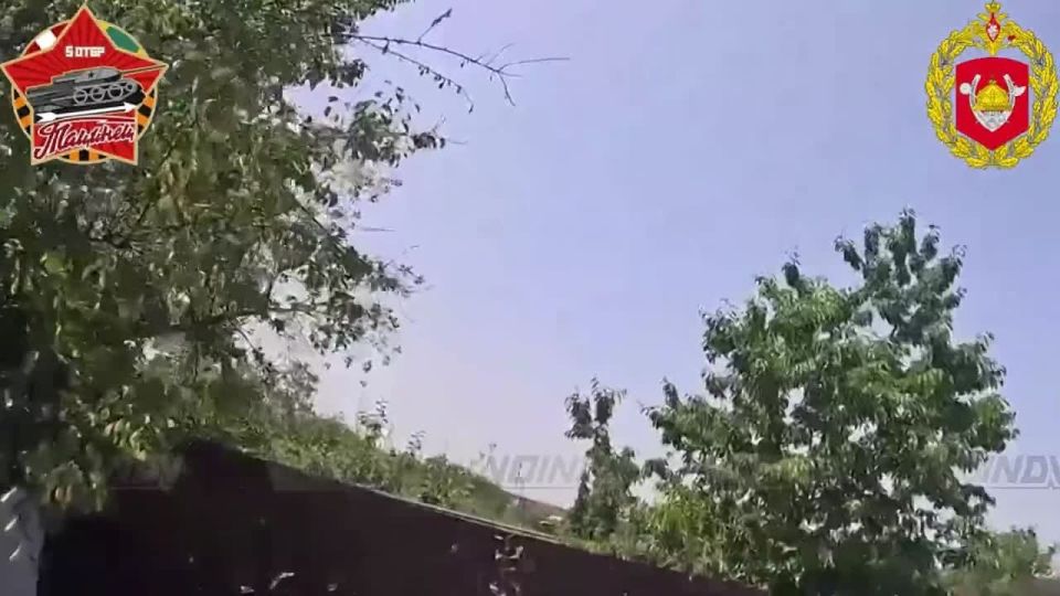 #��_�����������. ����� ������ ������ ����� ���������-���������� 5 ����������� �������� ������� 36 �����, ������� �������� �� ��������� ����������� � ������ ���� �� "������" ����������