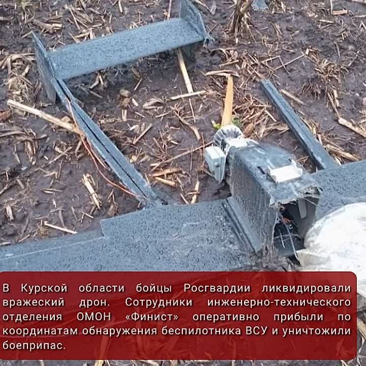 #���������������. ������������ ���������� ��� ��� �� ������������ �����������