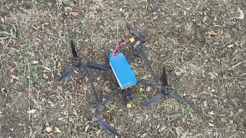 ������� ������: �� ������ ����������� 590 ��������� �������������