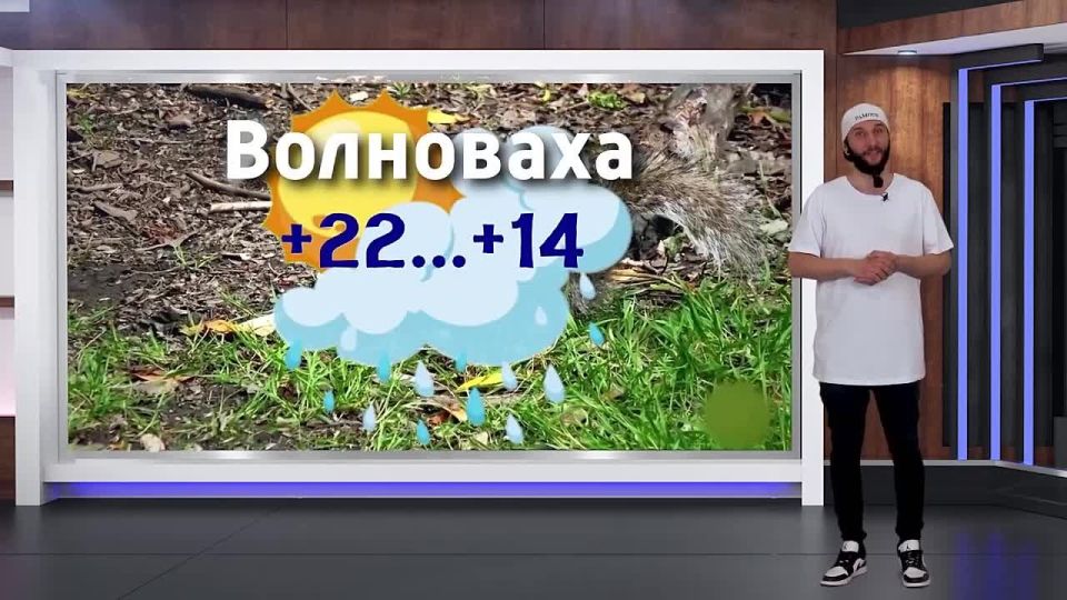 ������� ������ �� 23.06.2025