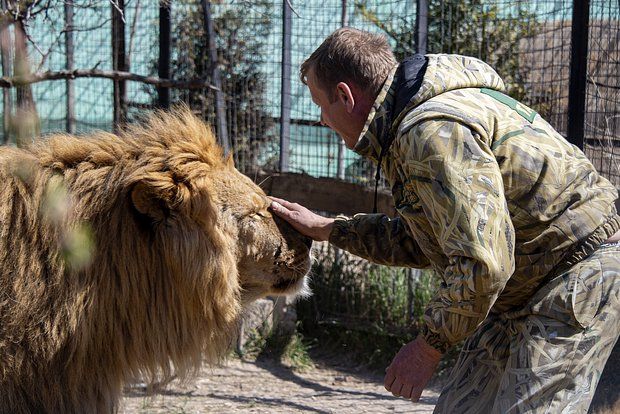 ���� ����������� �� ��������� ��������� ������-����� �������� �������