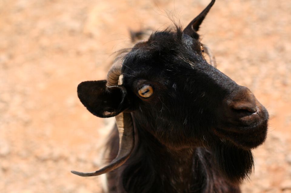 ��������� � ������� ���� ����� �������� ���� � ����������