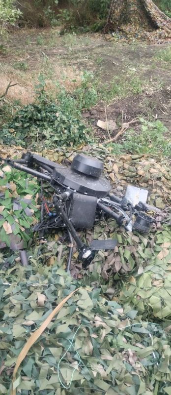 ������ �������: ���������� ����������� "������" �� �� �� ������� ����� ��� ���� ���������� ����-�������������� ���� "���� ���" �� ����-�������� �����������