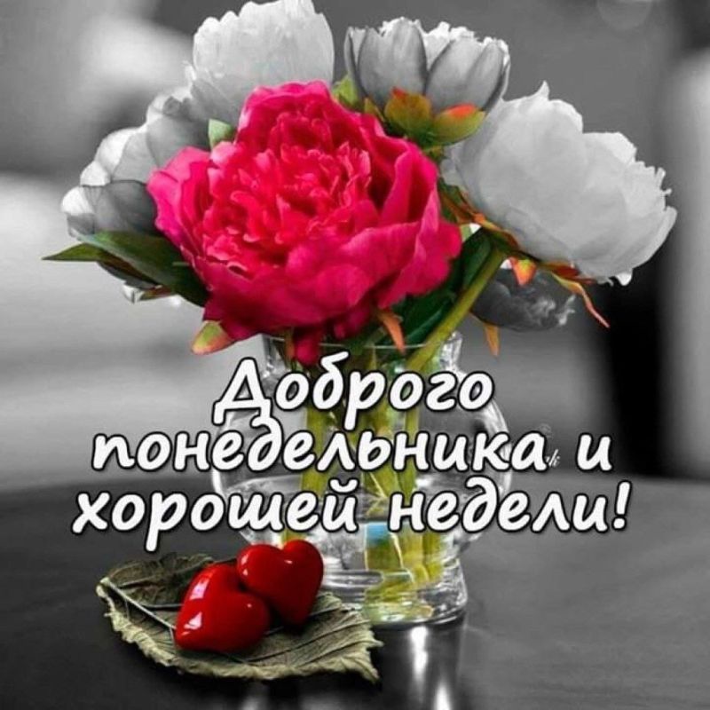 ������ ����!. ������ ���������� ����! ����������� ���� �������������