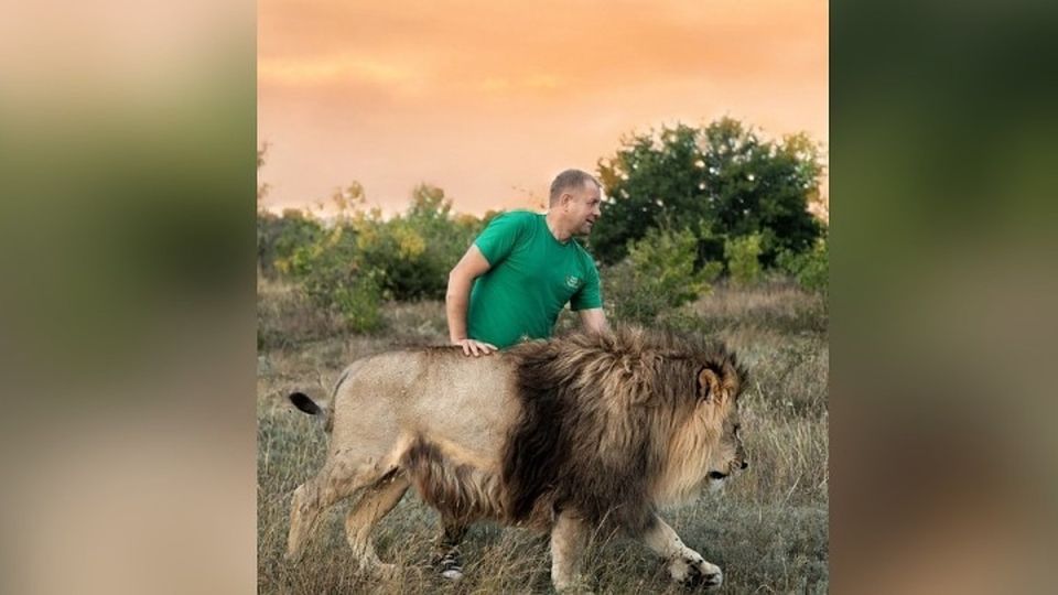 � �������� �������� �������� �����������: �������� �������������� �������� � �� � ��������