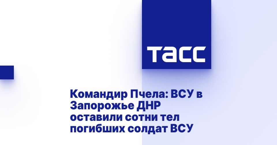 �������� �����: ��� � ��������� ��� �������� ����� ��� �������� ������ ���