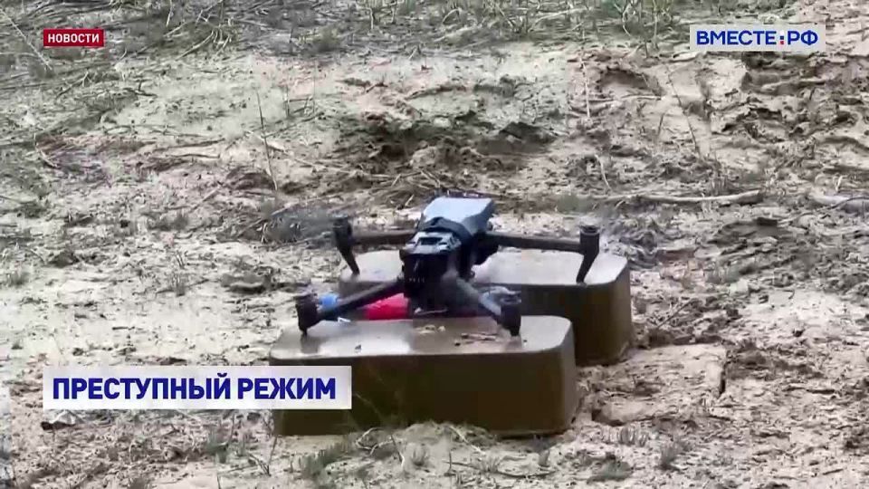 Планы киевского режима привлечь в ВСУ молодежь 18 – 24 лет провалились, уверен сенатор от ДНР Александр Волошин