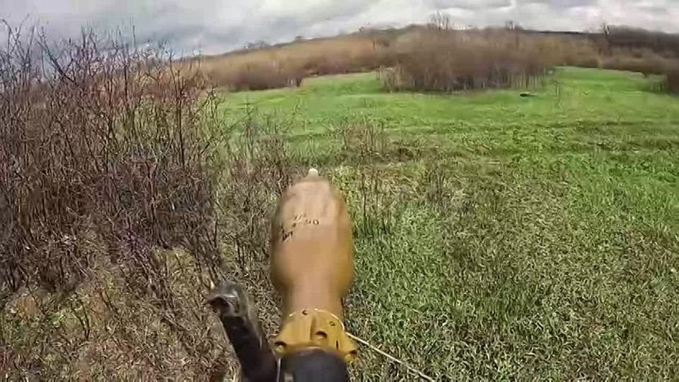 ������ ��������: ������ �������� � ����������� ��������� ������������� ���, � ������ ������ - "������"