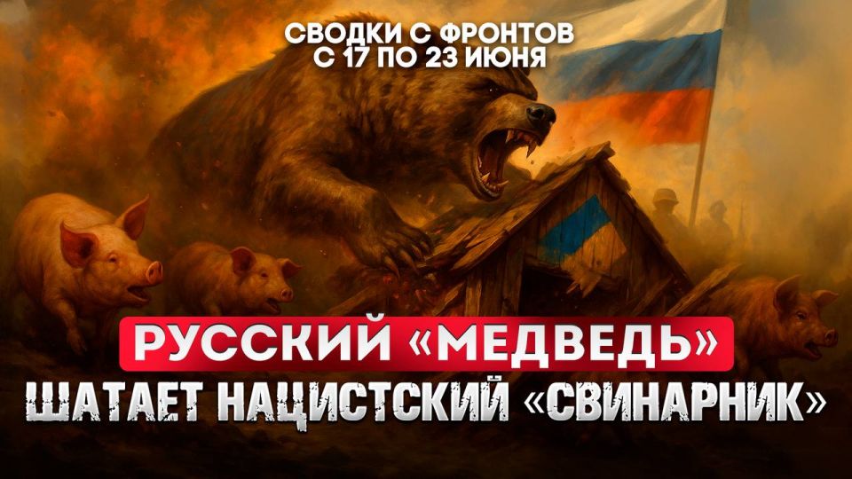 ����� ���������: �������� ������ ���� � 19.00 (����� ���)