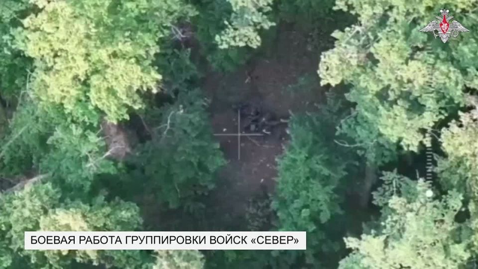 Минобороны России: Продолжаем громить вражескую оборону