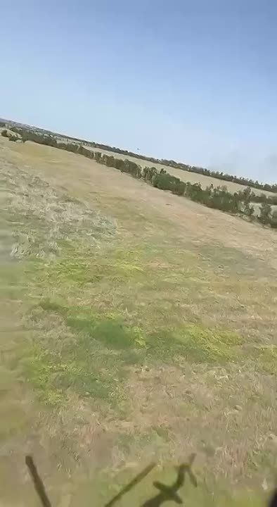 ������ �������: ������ ������ ������� ���������� ��������� ������� ��� ������ �� ����-�������� �����������