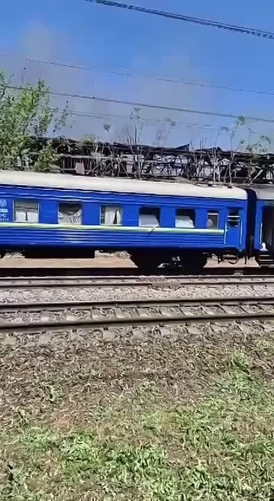 ��� ������: ��������������. ���� ��� �������