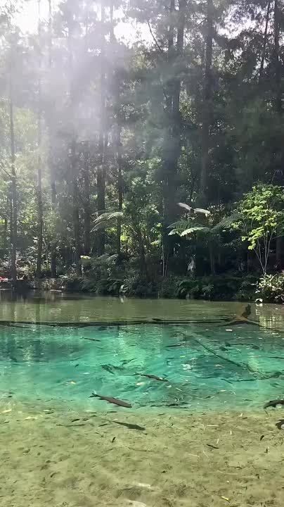 ������ ����, ���������!. ����� ���� ����� ���������, � ���������� - �������������