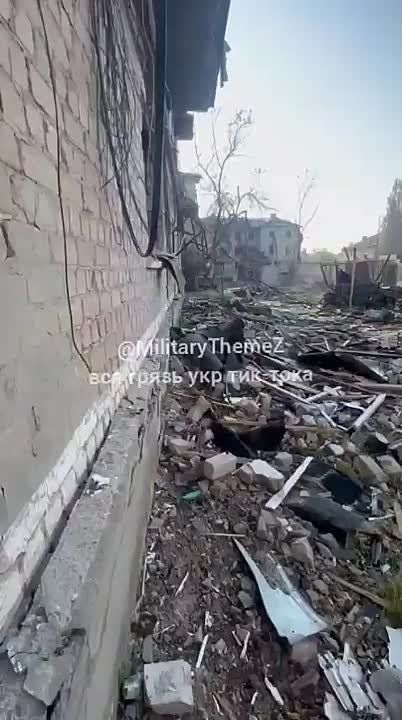 Родинское, Покровский район Донецкой области