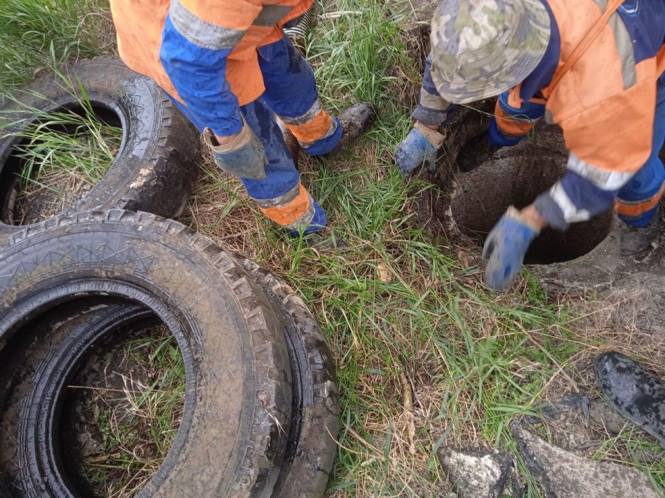 ����� �����: ������������� ���������� ���������� ������ � ��� ������