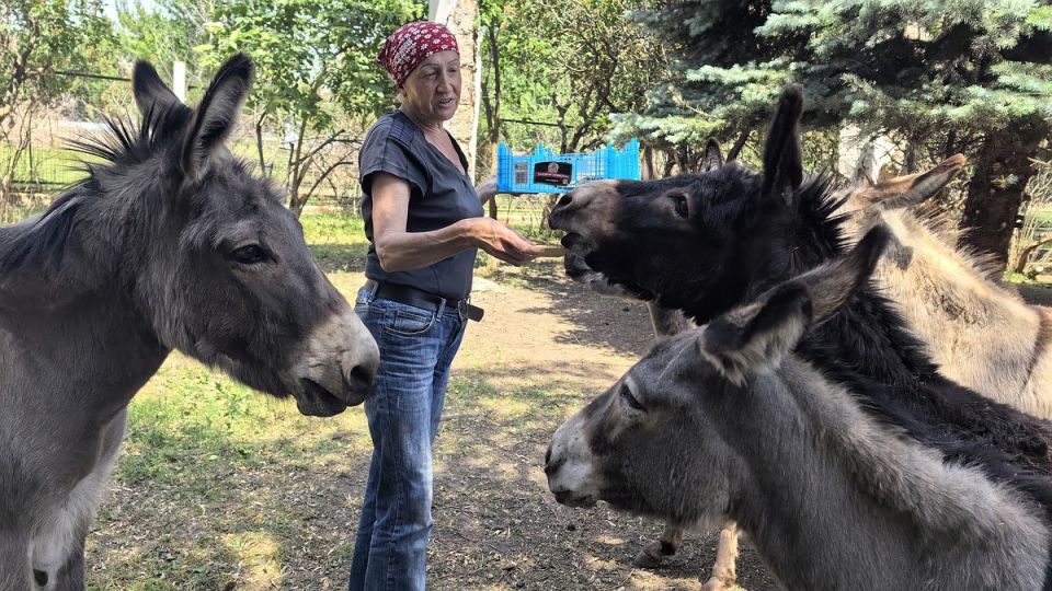 «Падали на животных и закрывали их от снарядов»: Как выживает зоопарк в обстреливаемой Горловке