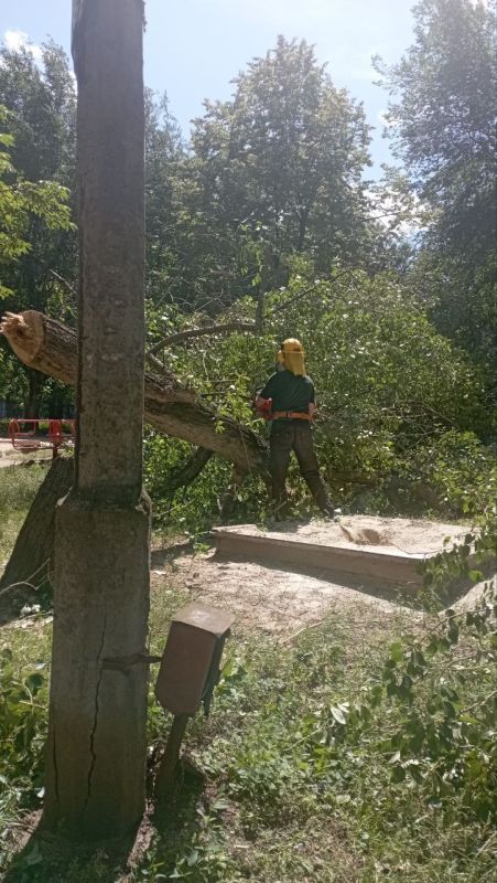 ������� ������: ������ ��� ��� "����������� �������� ������������ ������ ������ �������" ��������� ������ �� ���������� ������� � ������������ ������ ����������, �������������� �� ���������� ����������� ����������������...