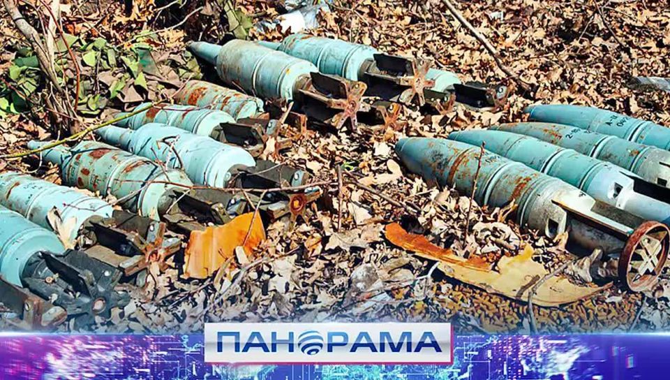 Защищая от жизни на «пороховой бочке»: силовики уничтожают схроны боеприпасов неонацистов!