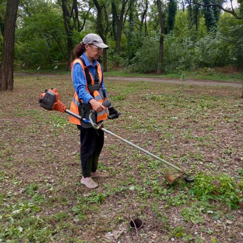 ������ ��������: ������� ���� ������� �� ��������������� ������������� ������ ��� ���� ������� ������������� �.�������