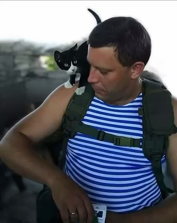 ������ ������: ������� ���� �������� ���������� ������������� ����������