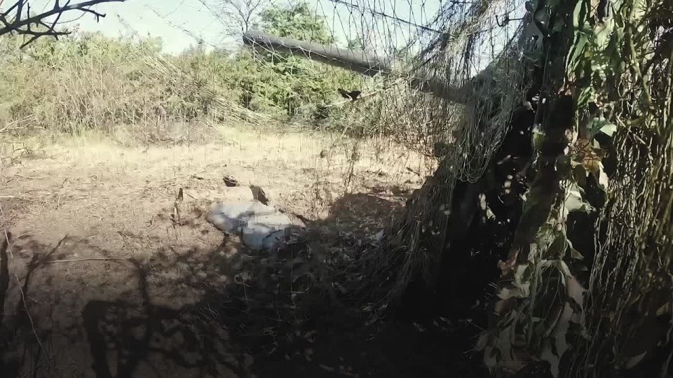 ��������� ��������: #�������������������. ����������� �� ����� �����������������.�� � �� �������� 117