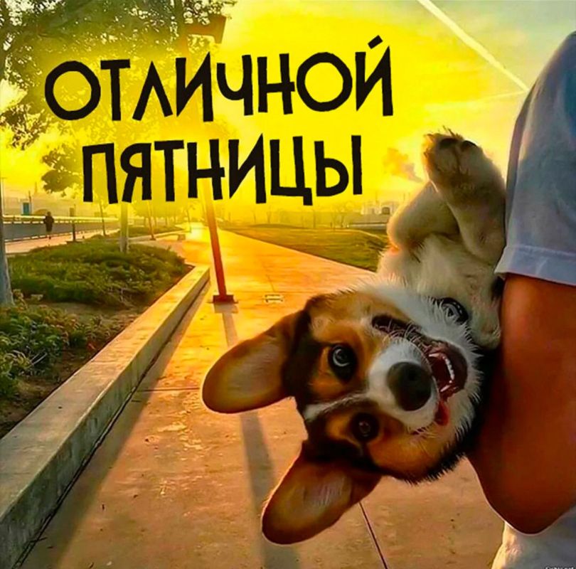 ������� � ���������� ����� � ��������