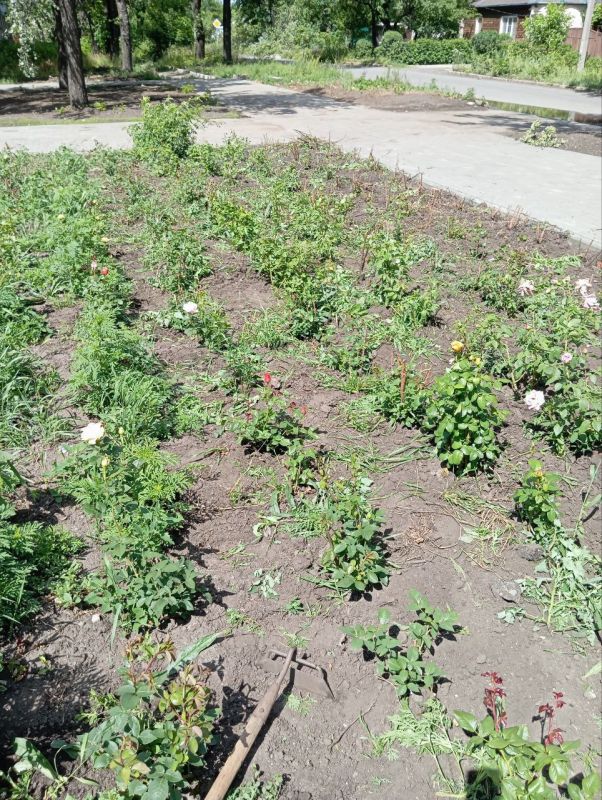 ������ ��������: 27 ���� �� ���������� ���������� ������ ���������� ��������� ������������� ���������